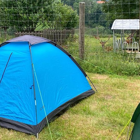 Camping F Selbstversorger Gut Jaegerhof Adults Only Semriach Exterior foto